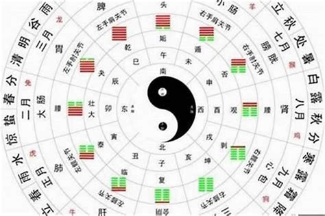 七煞格|論八字格局中的七殺格